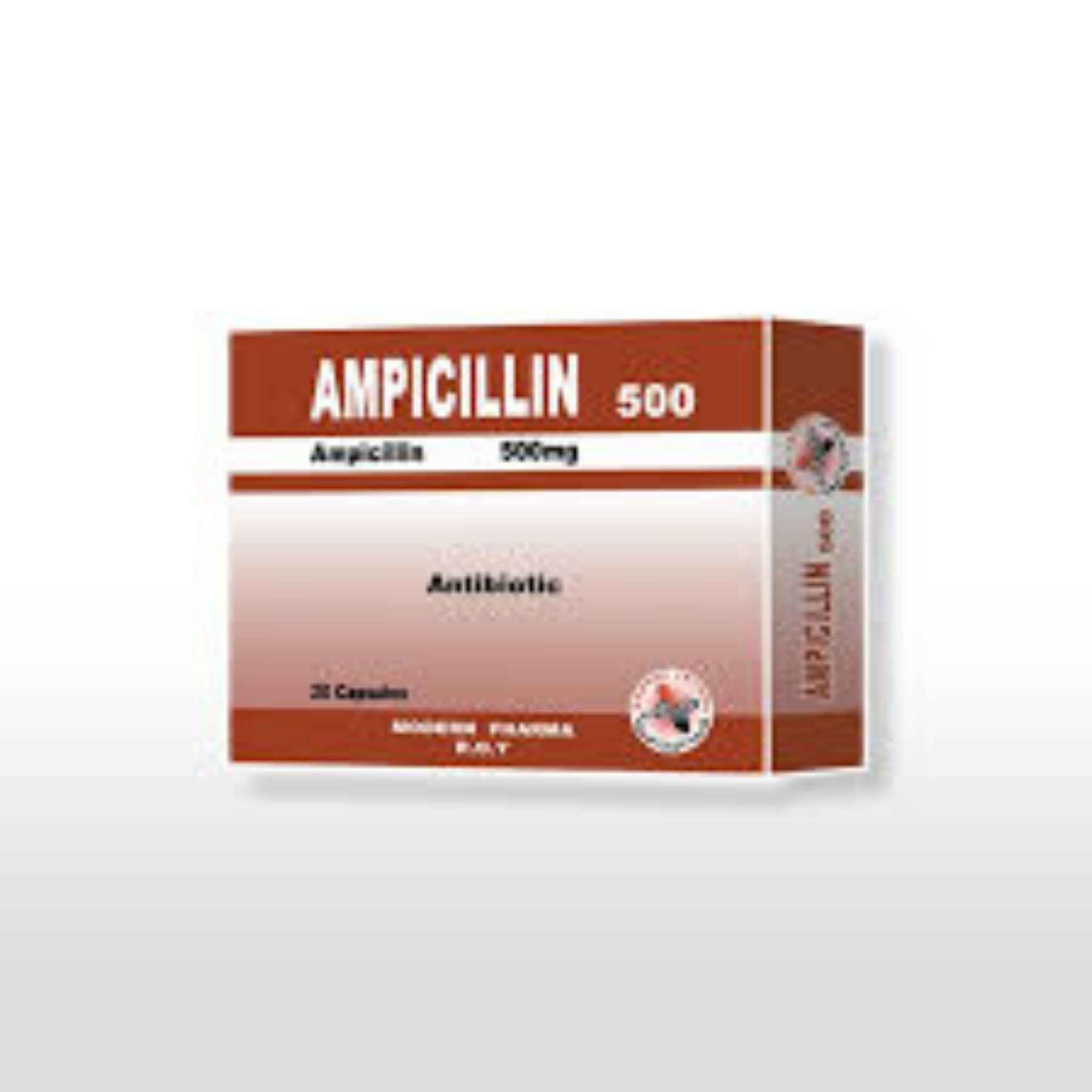 Ampicillin (500 mg)